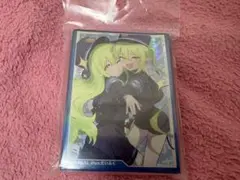 シュポガキ　スリーブ