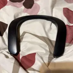 Item thumbnail for item 0b22577f-e204-40e2-84bb-63020907b56b