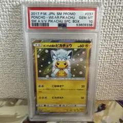 2026年最新】ポンチョを着たピカチュウ ロコン psa10の人気アイテム