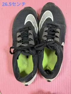 ナイキ エア ズーム ライバル フライ 3