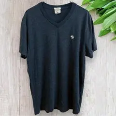 Abercrombie&Fitch Tシャツ 半袖 Vネック ワンポイント M