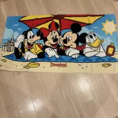 Disneyland Resort バスタオル 巾着バッグ セット