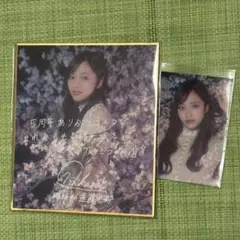 櫻坂46 サクコレ　遠藤光莉　C賞・参加賞　2点セット