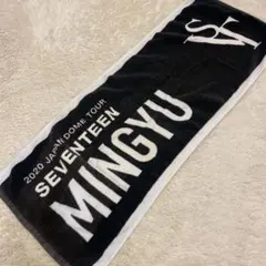 SEVENTEEN 2020 JAPAN DOME TOUR タオル