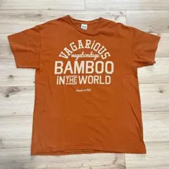 Item thumbnail for item 2b1fdad8-42d1-4936-8dbb-9515c5f26473