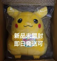 ポケモン30周年記念おかえり!ピカチュウ1/1 ②