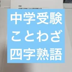 Item thumbnail for item 7efd0e28-4c7c-4ee0-9ba9-c4ba44f140a5