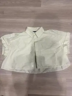 ZARA ストライプ柄ショート丈半袖シャツ グリーン