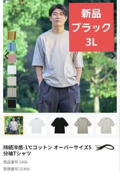 WORKMAN 持続冷感-1℃コットン オーバーサイズ5分袖Tシャツ 新品 3L