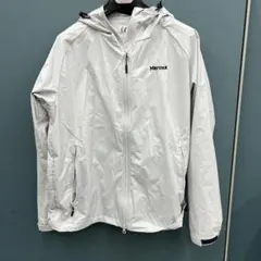 Item thumbnail for item 3980a925-7c52-495a-8cbb-2b010bb62561