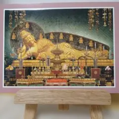 2026年最新】真如苑の人気アイテム - メルカリ