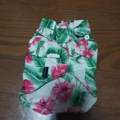 Item thumbnail for item d3f88d5e-3644-435d-8b78-7b8cbd3b6336