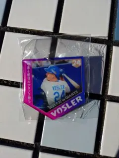 11/22中日ドラゴンズファンフェスタ バンテリンドーム限定ガチャ　ボスラー