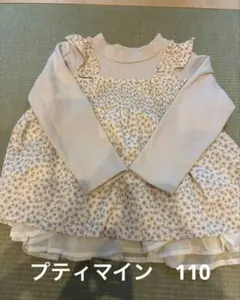 プティマイン 110