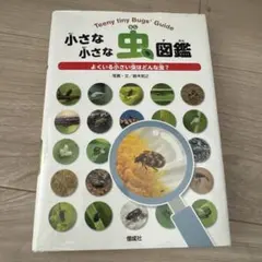 Item thumbnail for item dd094dc7-d92a-4e27-a773-18000b5a2f8e