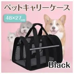 Item thumbnail for item 20c43341-8da2-42d4-938a-be6da00ca441