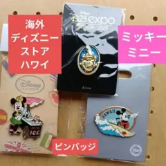 新品！海外ディズニーストア　ハワイ　 ピンバッジセット（ミニー・ミッキー）