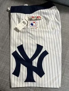 Item thumbnail for item 2d5eecd7-2c0e-4bca-a2d8-5a192263eacc