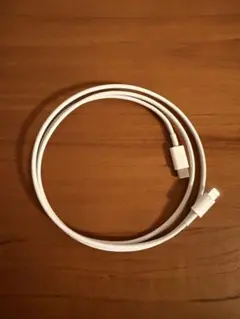 Apple純正 Lightning to Type-C ケーブル ホワイト1m