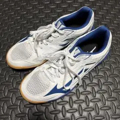 1度のみ着用 ミズノMizuno 卓球シューズ ウエーブカイザーブルク 26cm