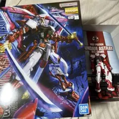 ガンダム シルエット フォーミュラ ガンダムRXF91 ビギナゼラ 2種