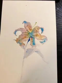 グロリオサ 水彩画ハガキ 原画 - メルカリ