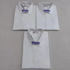 Item thumbnail for item 594a9a71-6e28-4535-a29c-2c62fa8b4af3