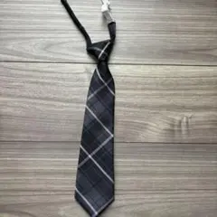 Item thumbnail for item 8e429f5b-a02d-4493-b14b-60aae1e0a0fc