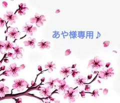あや様専用♪