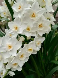 みんみん様 リクエスト 2点 まとめ商品