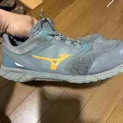 MIZUNO 安全靴 27.5cm 限定カラー？のサムネイル