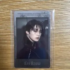 Stray kids リノ エコパ dominate フォトカードセット トレカ