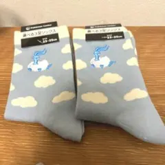 ポケモン クルーソックス 23-25cm チルタリス　２つセット