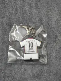 藤枝MYFC　菊井悠介 選手 10番のサムネイル