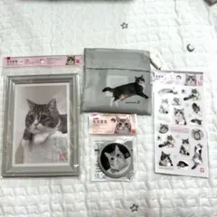 完売品　廃盤　もちまる日記　猫　セット　ダイソー　スリーピーのサムネイル