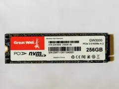 新品Great Wall GW3000 256GB SSD