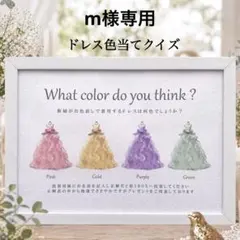 m様専用 ④ドレス色当てクイズ ドレス当てクイズ 投票ボックス BOX