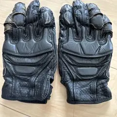 Item thumbnail for item 00011620-c759-4172-9783-d2be893c028e