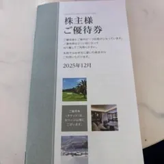 東急不動産ホールディングス株主優待券5000株以上(2025年12月)冊子セット