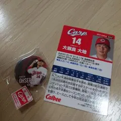 広島東洋カープ～大瀬良大地投手の缶バッジ&プロフィールカード