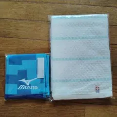 Item thumbnail for item 66eff2f6-b57f-4992-a302-48bf1f9d76fd