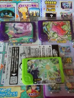 ポケモンフレンダ　メガニウム　スペシャル　ジガルデ