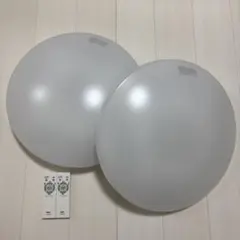 NEC 천장 조명 2 개