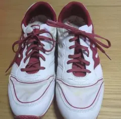 Item thumbnail for item e440e02d-8346-485e-a274-42260b13b9c4