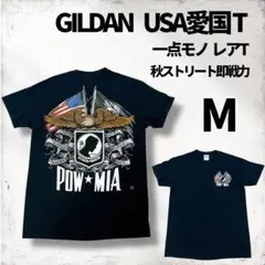 一点モノ感抜群 愛国デザイン GILDAN 黒T L相当 CBOY映え