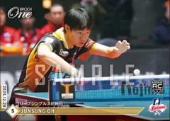 Item thumbnail for item c8daee10-4ed6-4a14-836f-6f5cedc13ad1