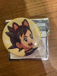 イナズマイレブン イナイレ ナンジャタウン 缶バッジ 稲森 明日