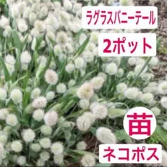 岩谷愛子様 リクエスト 2点 まとめ商品