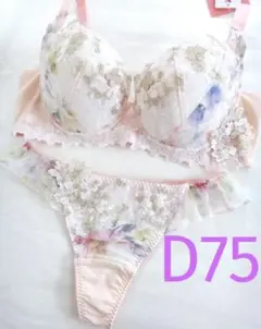 ワコール ルジェ ブラジャーD75 & ソングショーツM　薄ピンクラメ花柄