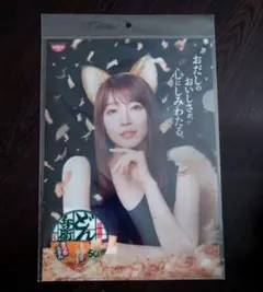 日清 どん兵衛 吉岡里帆 クリアファイル どんぎつねのサムネイル